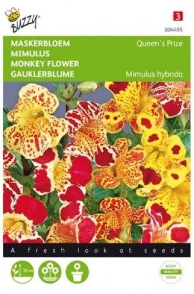 004495 opici kvet mimulus_500x500